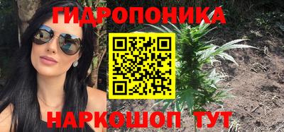 индика Партизанск